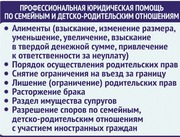 Профессиональная юридическая помощь.